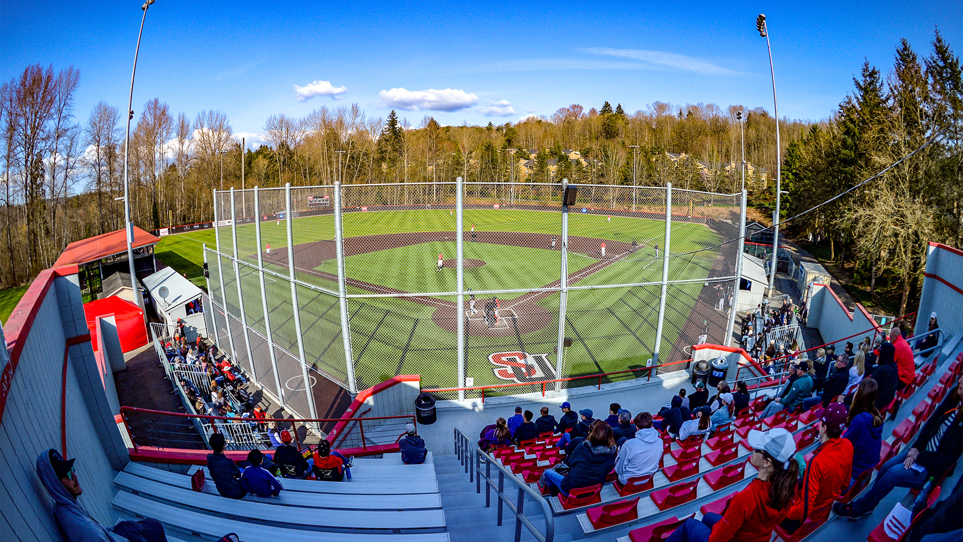 Zoom Background Ny Sports